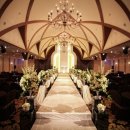 투어바인 이미지