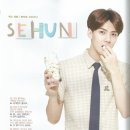 IVYCLUB
