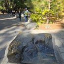 GDR아카데미국립공원점 | 요세미티 필수 코스 총정리(2) - 요세미티 국립공원 1박 2일 2일차(요세미티 폭포, 엘 캐피탄, 스타벅스)