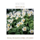 상반 이미지