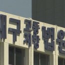 에스엘 독 이미지