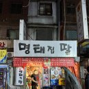 명태집딸 이미지