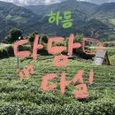 다담다실