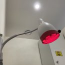 우아한방병원 이미지