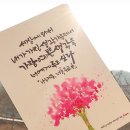 수채캘리 & 시 한줄 이미지