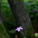 13코스 #2-2 이미지