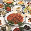 엑스포아구 Daum카페