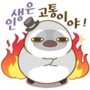 라니마켓 - 해운대구 | 라니마켓