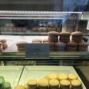 레어마카롱(RARE MACARONS) 티스토리
