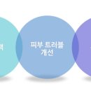 사라화장품 - 강동구 | 사라화장품