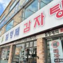 칠형제약국