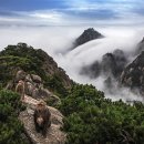 태평카써비스 이미지