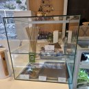 서들1길 | 문경 가볼 만한 곳 카페서들! 에코월드 근처 아이랑 가기 좋은 숲속 대형카페 후기