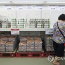파동마트 이미지