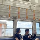 타다이마
