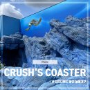 Coaster(코스터) | 파리 여행 디즈니랜드 파리 스릴 있는 놀이기구 CRUSH'S COASTER 크러쉬의 코스터 후기 및 웨이팅 시간