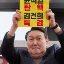 2024년 12월 31일 (100%)