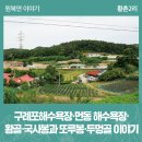 구례포해수욕장(먼동) 이미지
