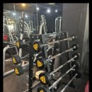 하운드짐 이미지