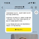 어뉴백