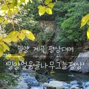 지에스(GS25)밀양얼음골점 | [밀양 여행] 내돈내산 계곡 물놀이 '밀양얼음골나무그늘평상'