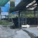 도윤목장 이미지