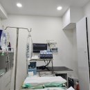 아이디펫 동물병원 | 부산고양이전문병원 아이디펫 동물병원의 솜씨좋은 중성화 수술