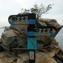 놀차 이미지