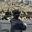 노타이틀 | 창원 마산 목련뷰 카페 노타이틀 오픈런(3/22방문)