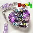 걸림없는 삶을 위하여 20— 장자 「인간세」 네 번째 이야기 이미지