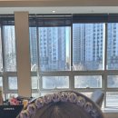 한별프라자 | 운정 야당역미용실 숨헤어 한별실장님 뿌리펌 후기