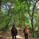 [서울둘레길] 봉산-앵봉(DMC역-구파발역) 이미지