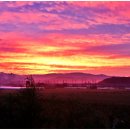 전원아파트 이미지