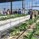 정광호농장 이미지