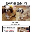 홍익아파트 이미지