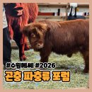 미니마리수원 | [수원] 2026 곤충&파충류 포럼 솔직 방문 후기 | 입장료, 주차, 볼거리, 아쉬운 점, 식충식물