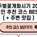 경주 벚꽃개화시기가 왔네요 ~ 여행정보 공유합니다 ^^ 이미지