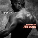 스타 바디핏 이미지