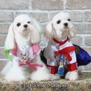 미소 드라이크리닝 이미지