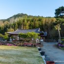 담양가히황토한옥펜션 이미지