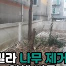 마도공단로 5길 이미지