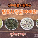 약초본가제분소 이미지