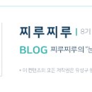 노은동로(유성-58) 네이버블로그