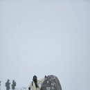 데굴데굴