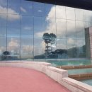 포천아도니스 C.C 이미지