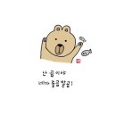 이플 이미지
