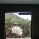 청호제하늘 이미지