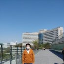 서울대학교병원 이미지