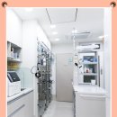 하나로동물병원 | 방이동 동물병원 솔직후기, 고양이 친화 환경이라 안심됐던 THE 허그동물의료센터