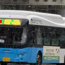 316모터스